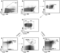 Viruses 06 00709 g001 200