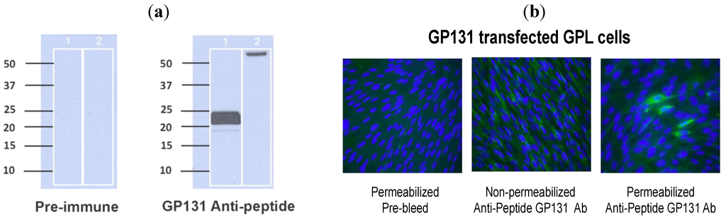 Viruses 06 00727 g003 1024