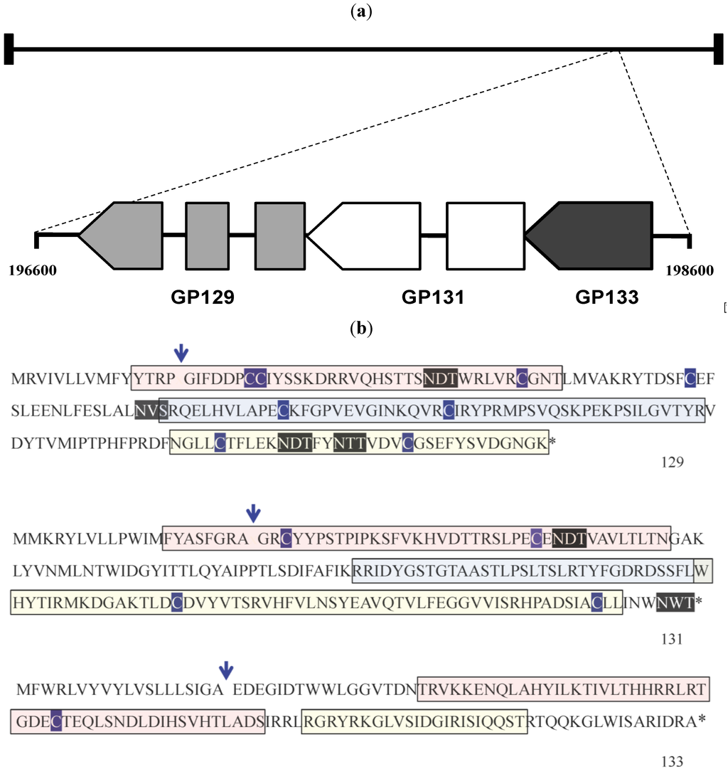 Viruses 06 00727 g005 1024