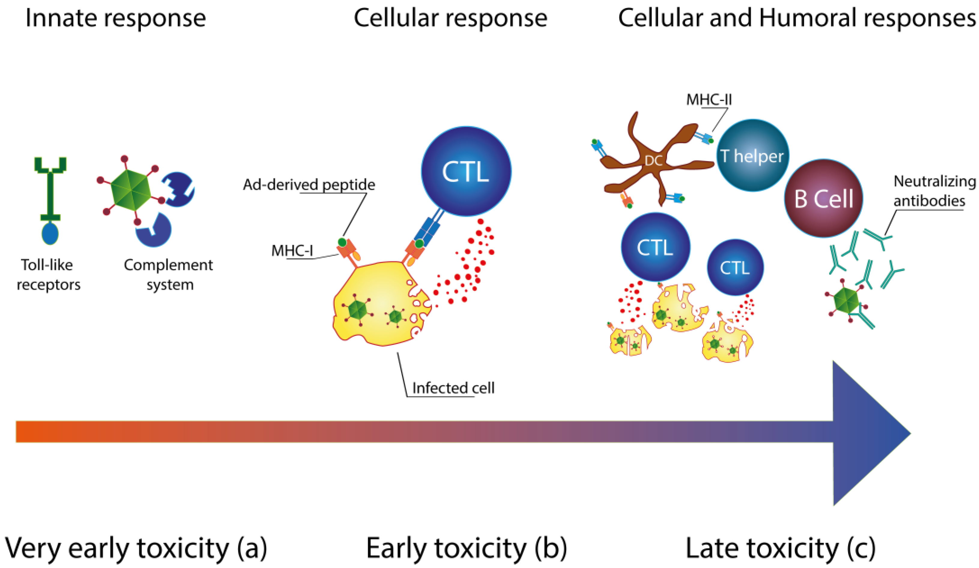 Viruses 06 00832 g001