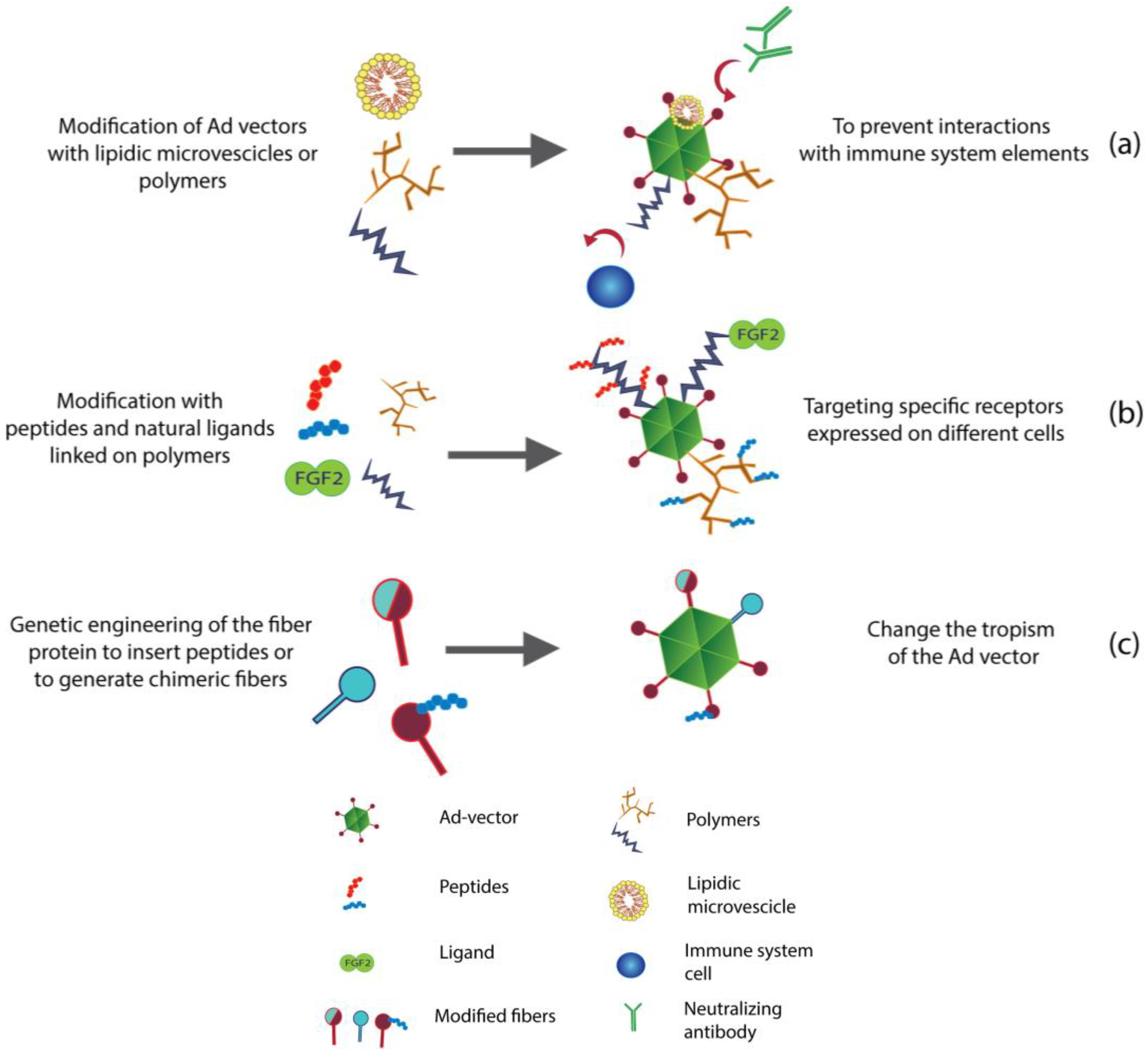Viruses 06 00832 g002