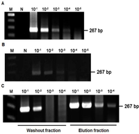 Viruses 06 01037 g003 200