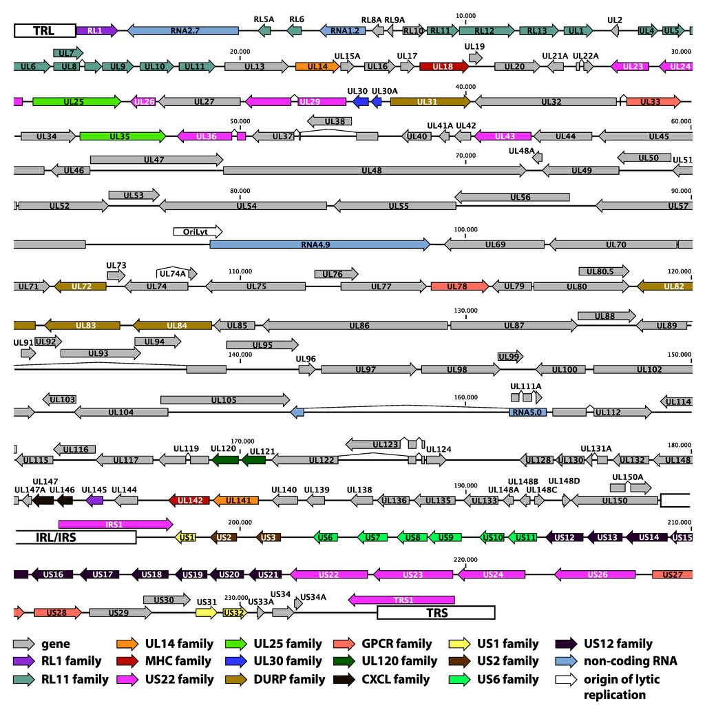 download gene expression in recombinant