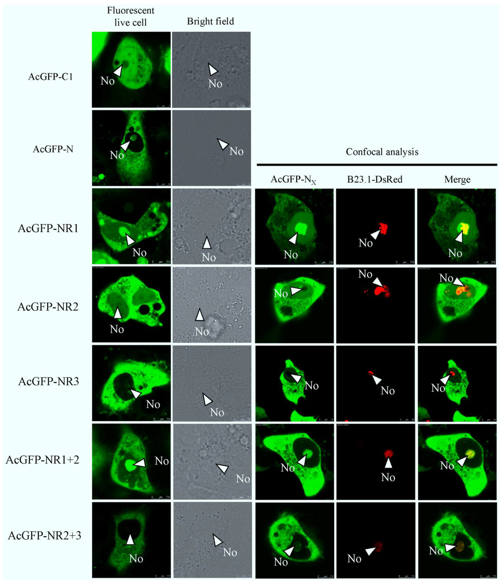 Viruses 06 01253 g003 1024