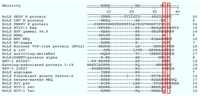Viruses 06 01253 g006 200