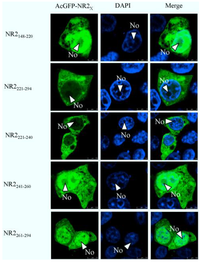 Viruses 06 01253 g007 200