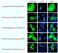 Viruses 06 01253 g008 200