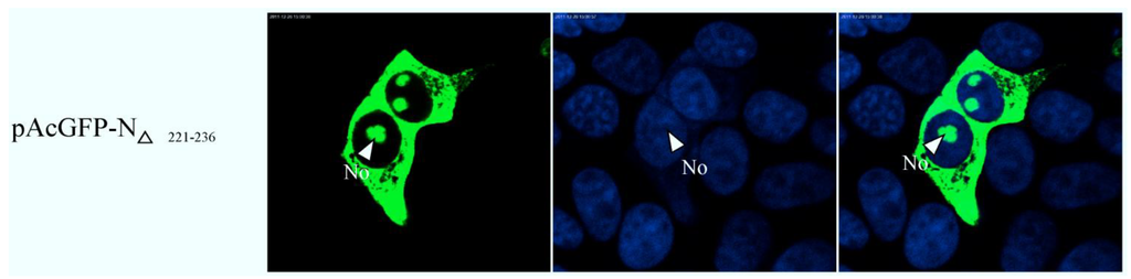 Viruses 06 01253 g009 1024