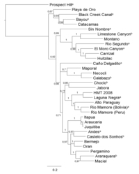 Viruses 06 01274 g002 200
