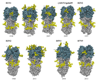 Viruses 06 01294 g001 200