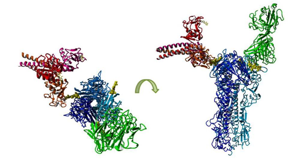 Viruses 06 01294 g003 1024