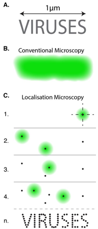 Viruses 06 01365 g002 200