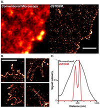 Viruses 06 01365 g004 200