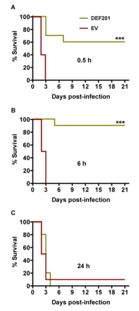 Viruses 06 01410 g004 200