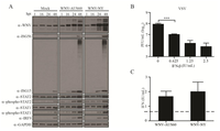 Viruses 06 01424 g002 200