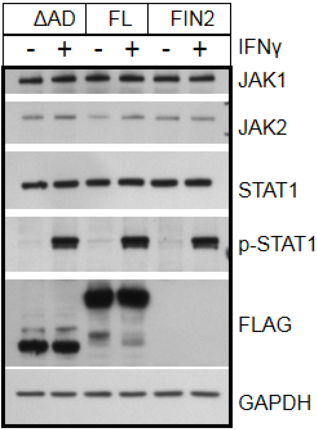 Viruses 06 01502 g004 1024