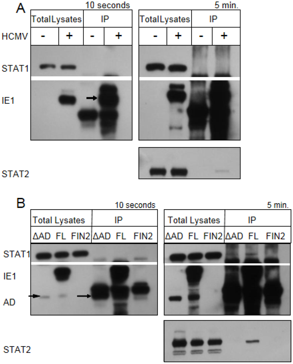 Viruses 06 01502 g007 1024