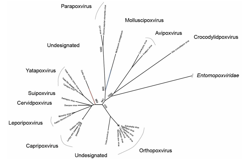 Viruses 06 01564 g002 1024