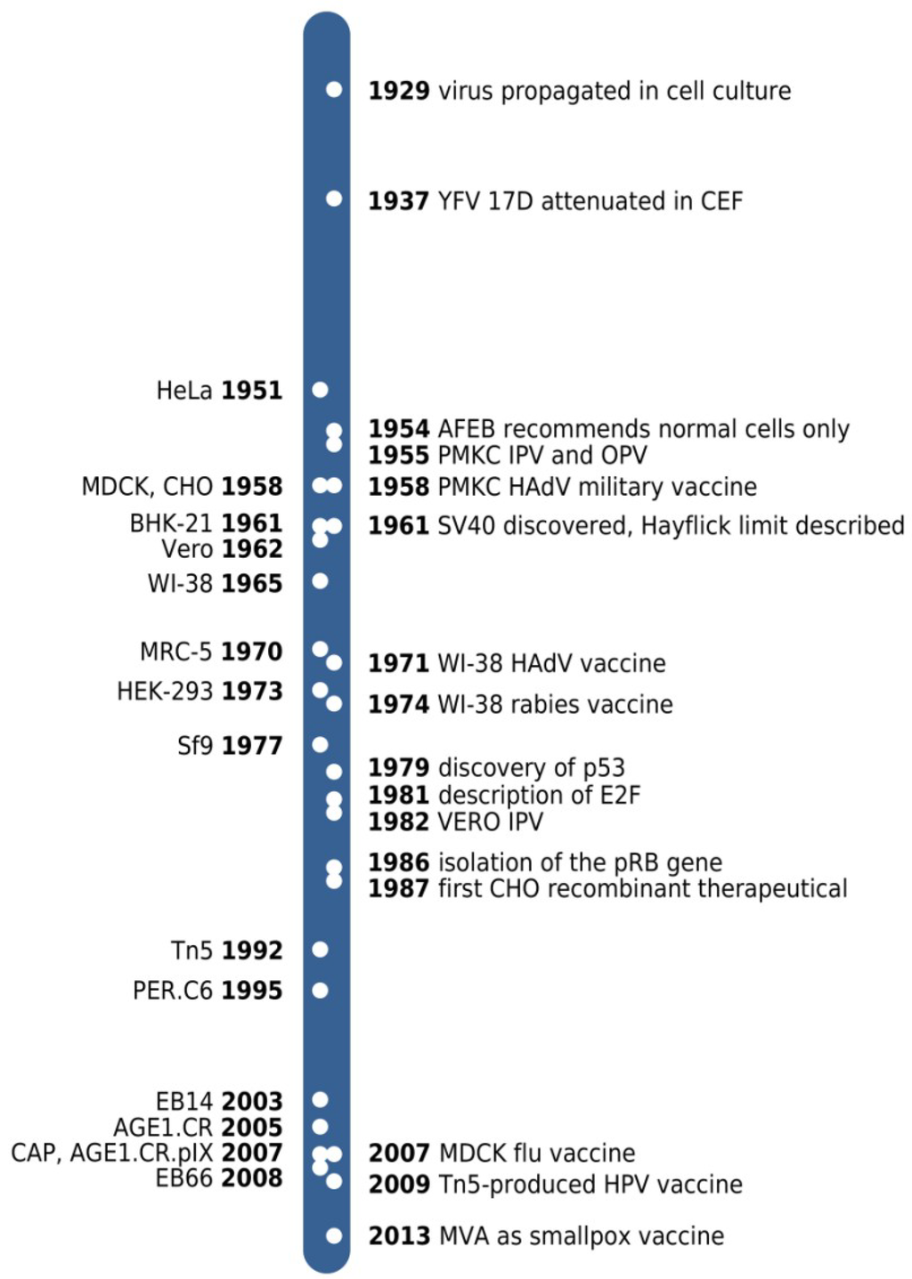 Viruses 06 01672 g001 1024