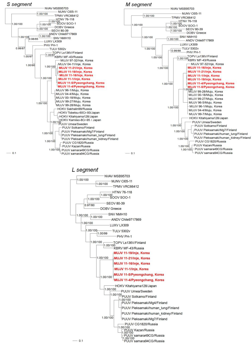 Viruses 06 01701 g002 1024