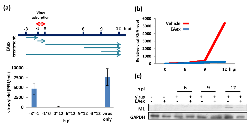 Viruses 06 01861 g001 1024