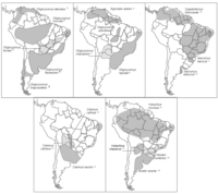 Viruses 06 01929 g002 200