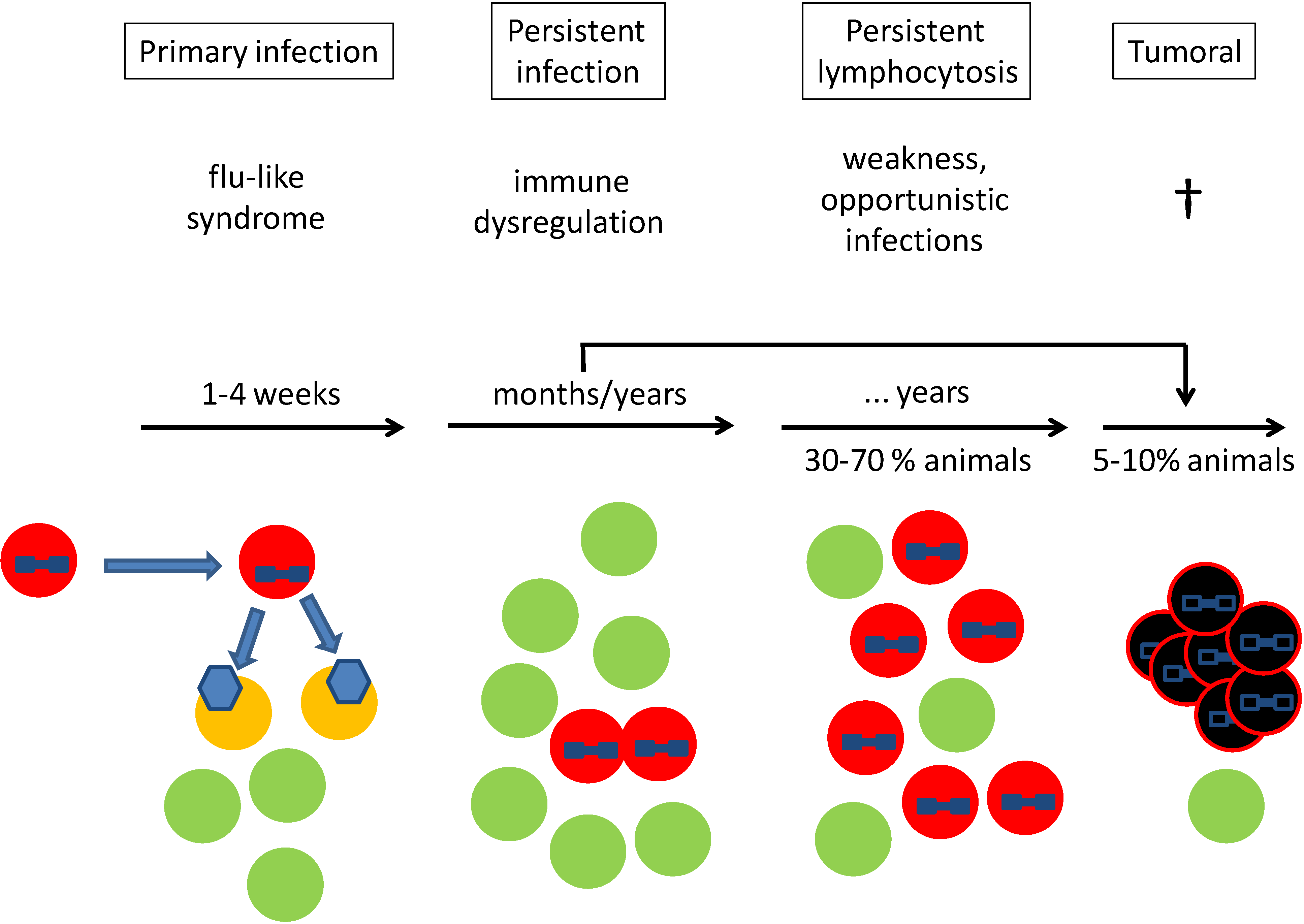 bovine leukemia virus