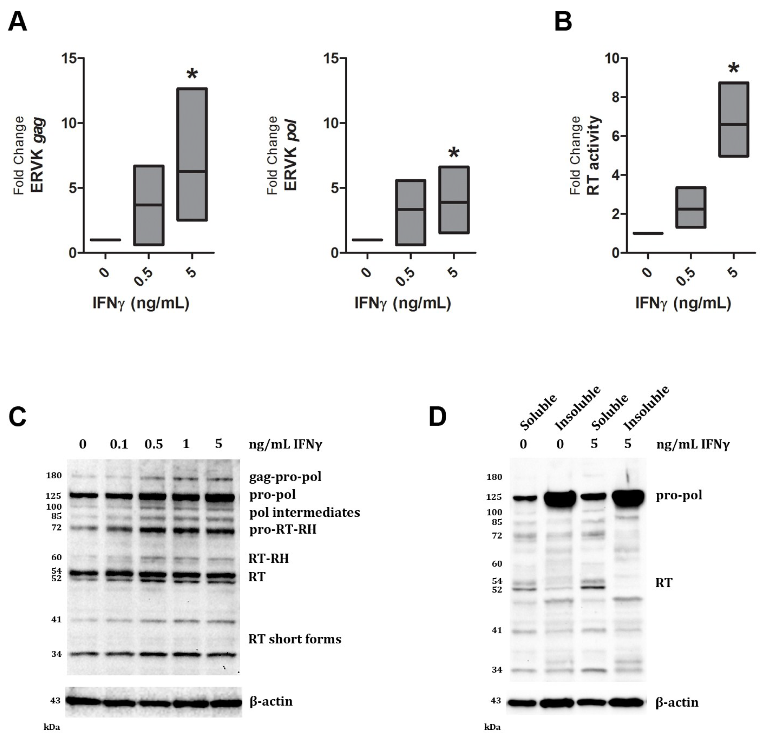 Viruses 07 00320 g001