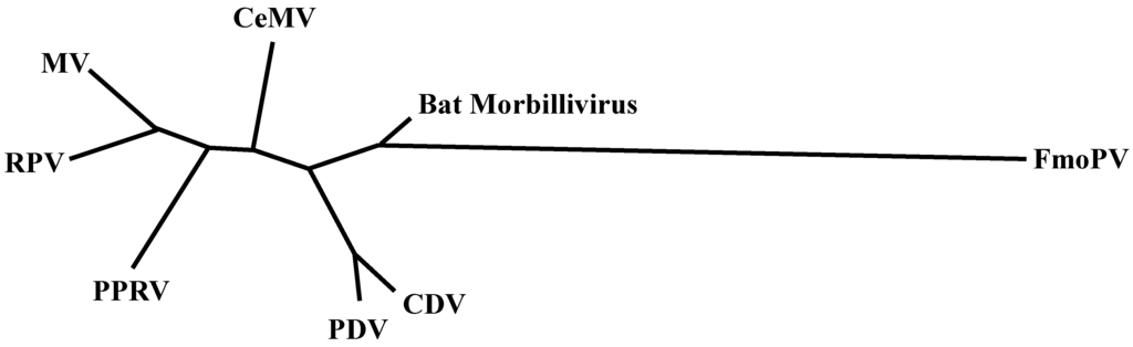 Viruses 07 00699 g001 1024