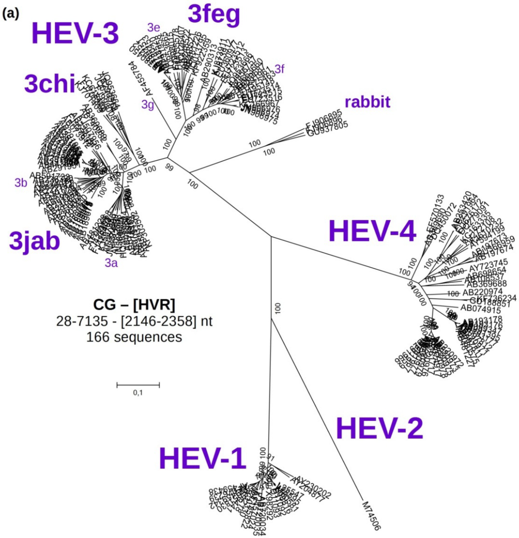 Viruses 07 02704 g001a 1024