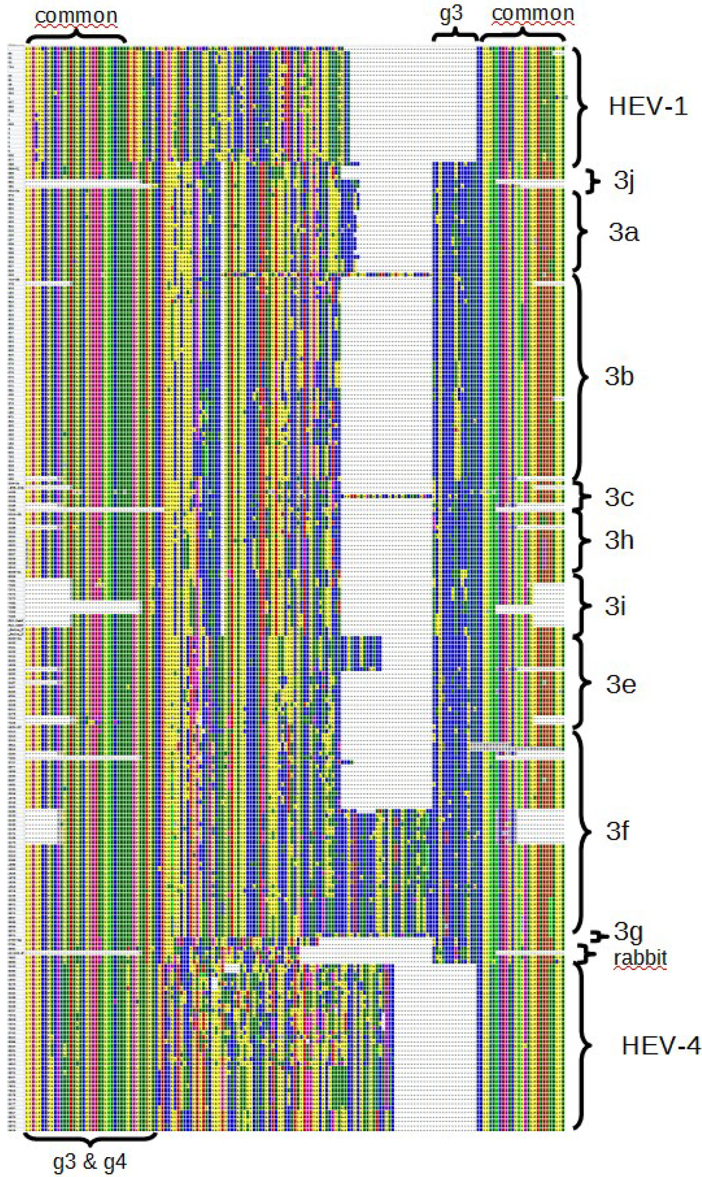 Viruses 07 02704 g005 1024