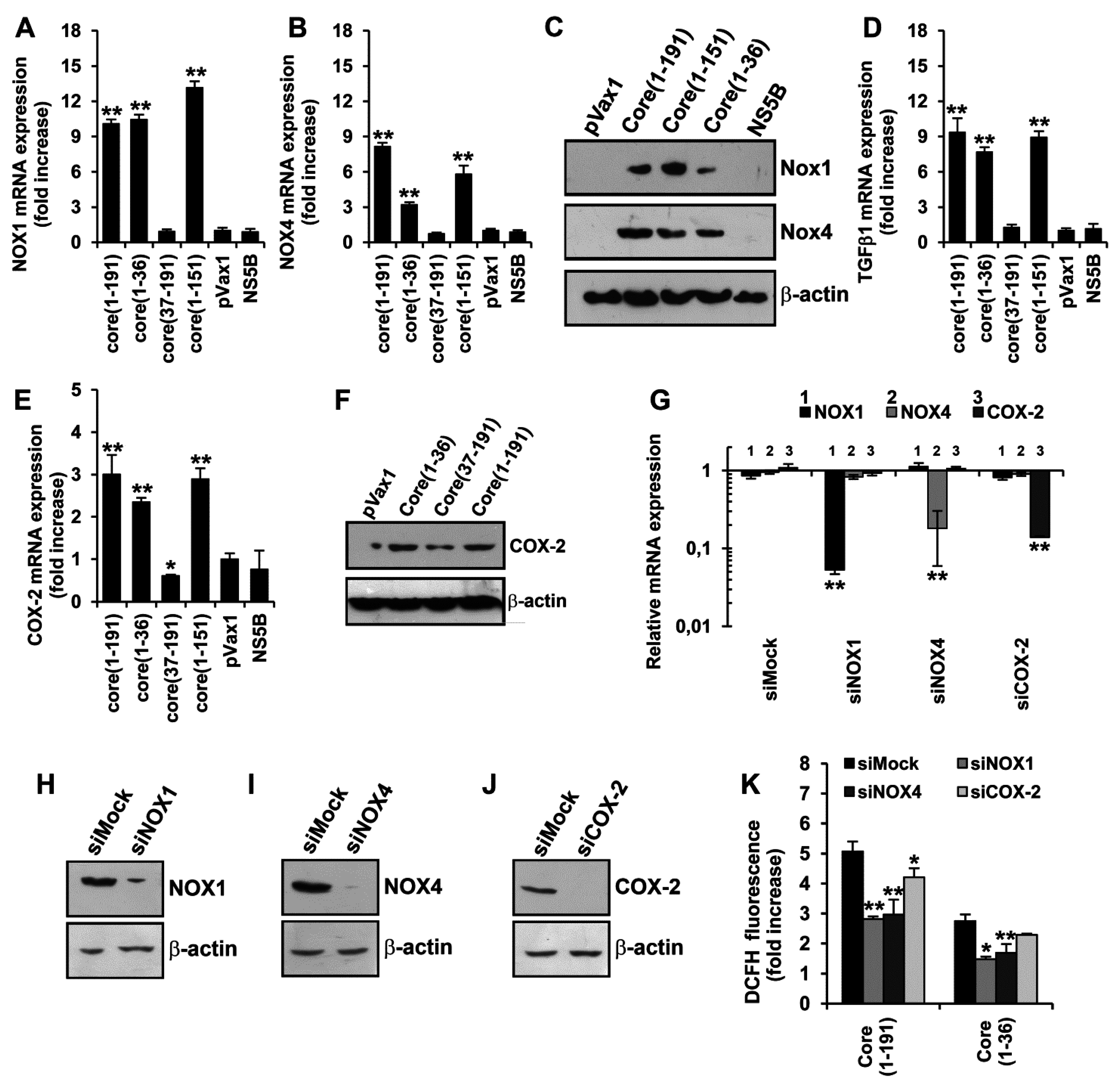 Viruses 07 02745 g003a