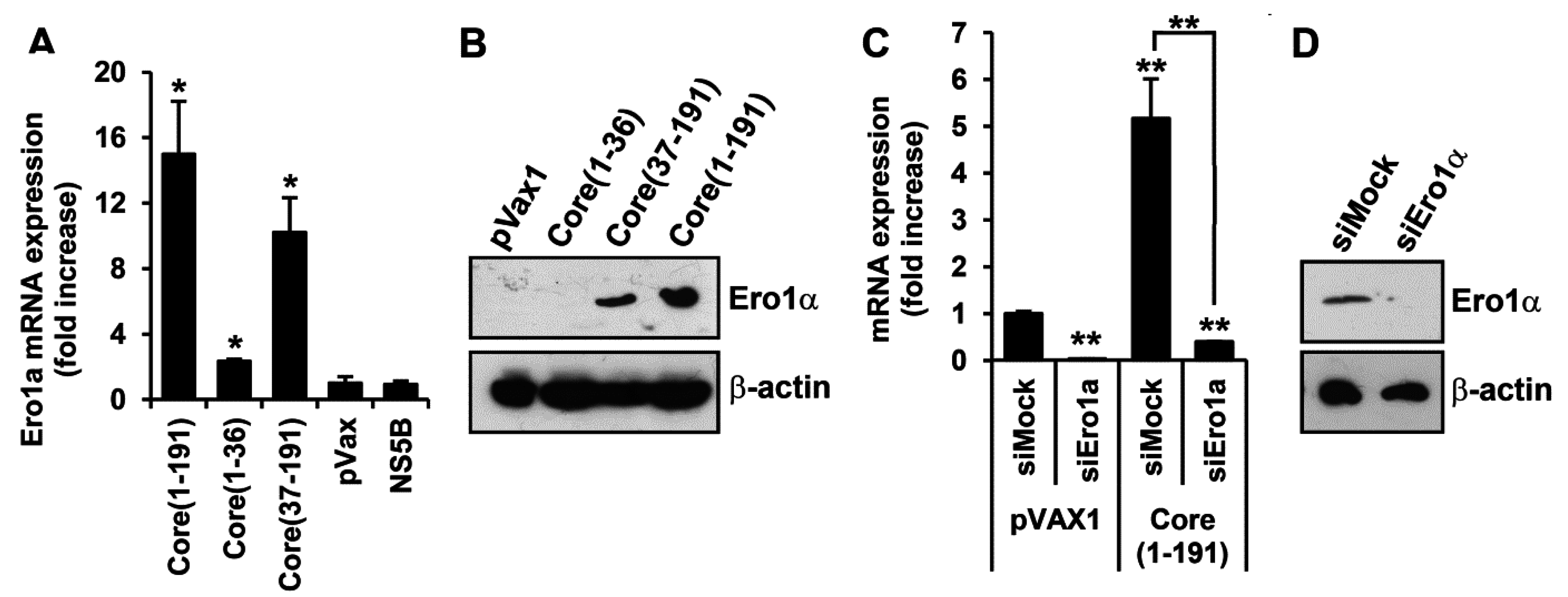 Viruses 07 02745 g005a