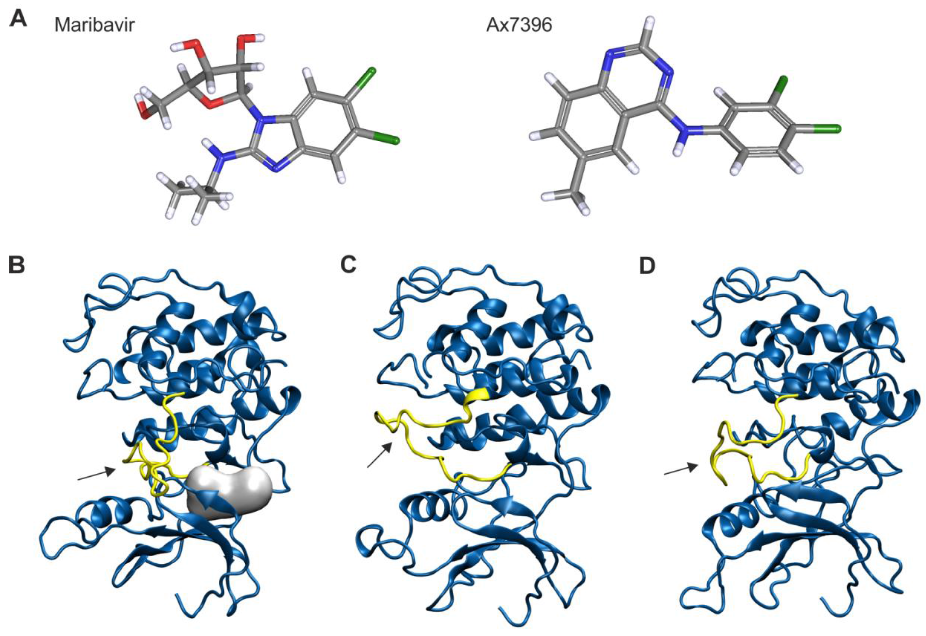 Viruses 07 02834 g003