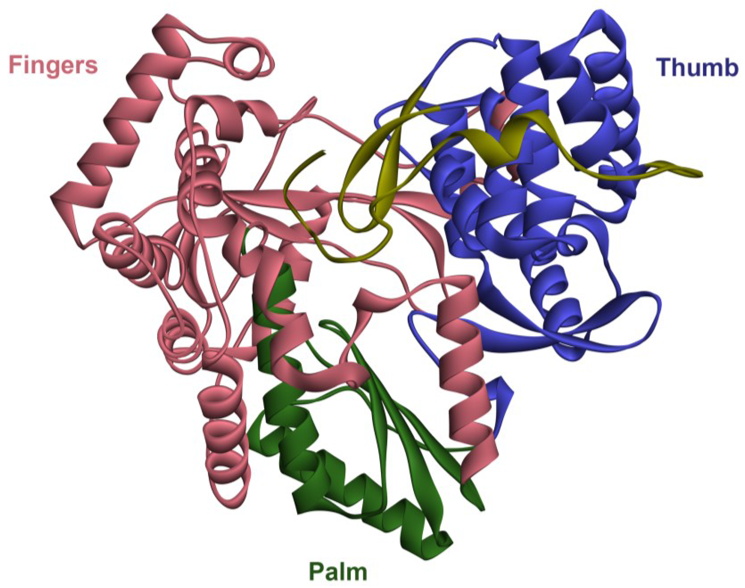 Viruses 07 02868 g001