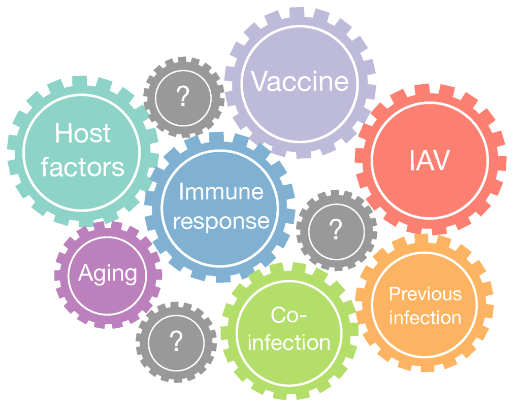 influenza research paper The economics space homework help of aging program involves research on the health and economic circumstances of individuals as they age, and on the implications of population aging on the well-being of older persons. influenza research paper The economics space homework help of aging program involves research on the health and economic circumstances of individuals as they age, and on the implications of population aging on the well-being of older persons.