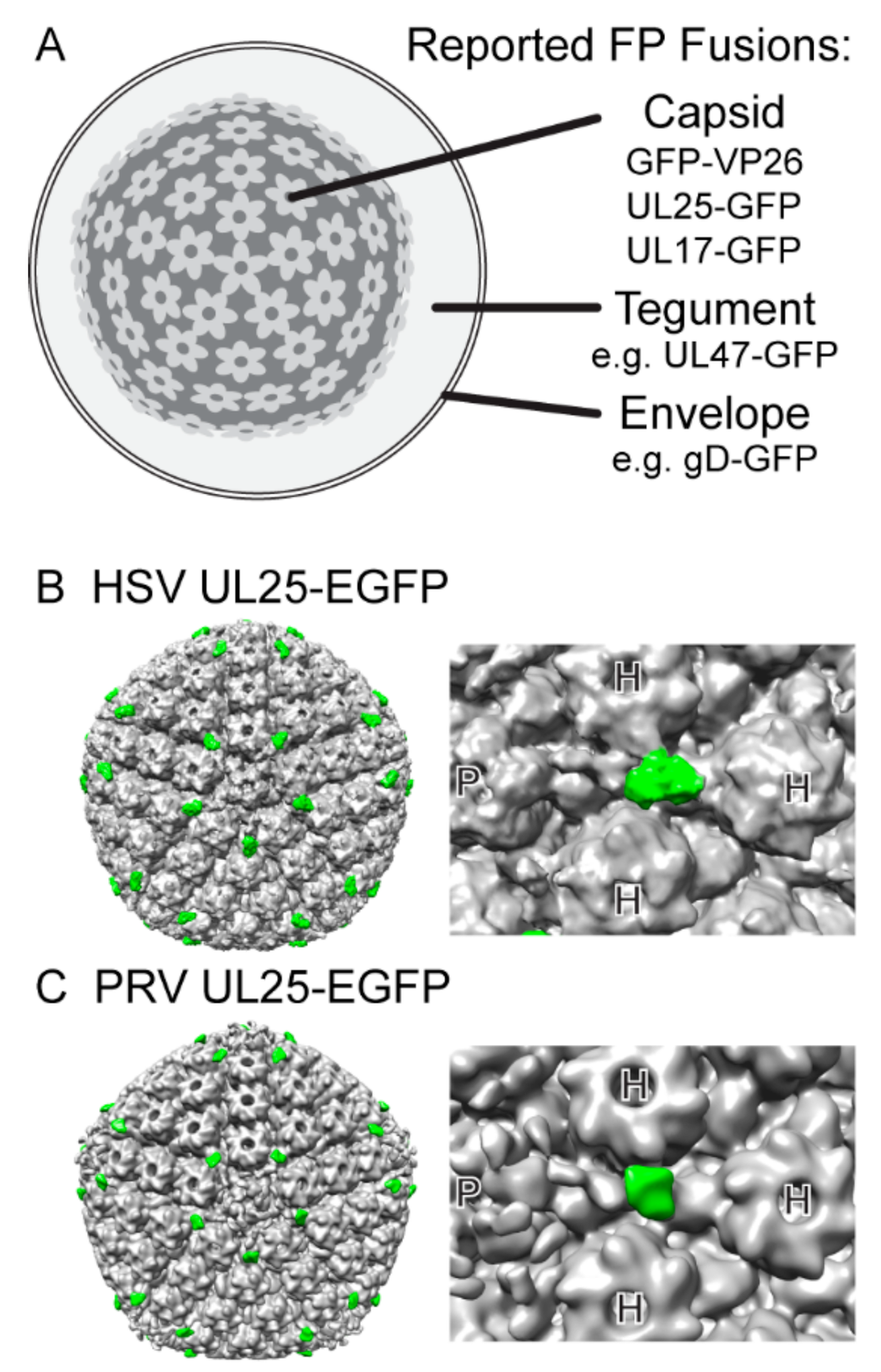 BUILT ET Envelope 6 BK 122122