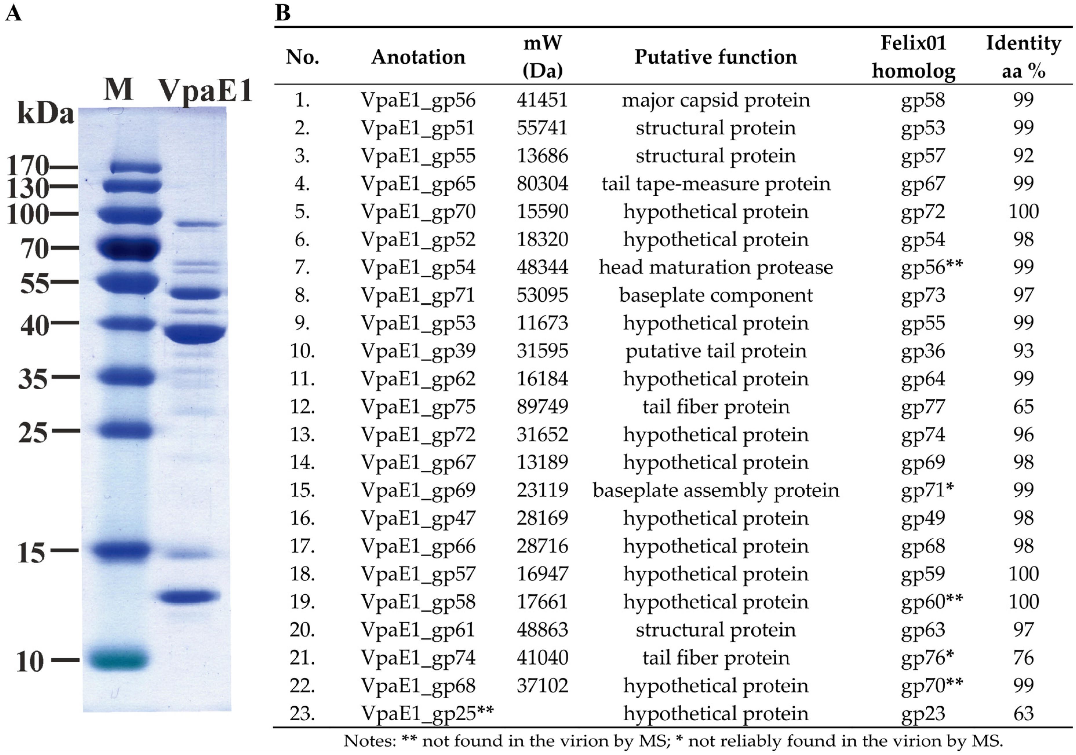 Viruses 07 02932 g005