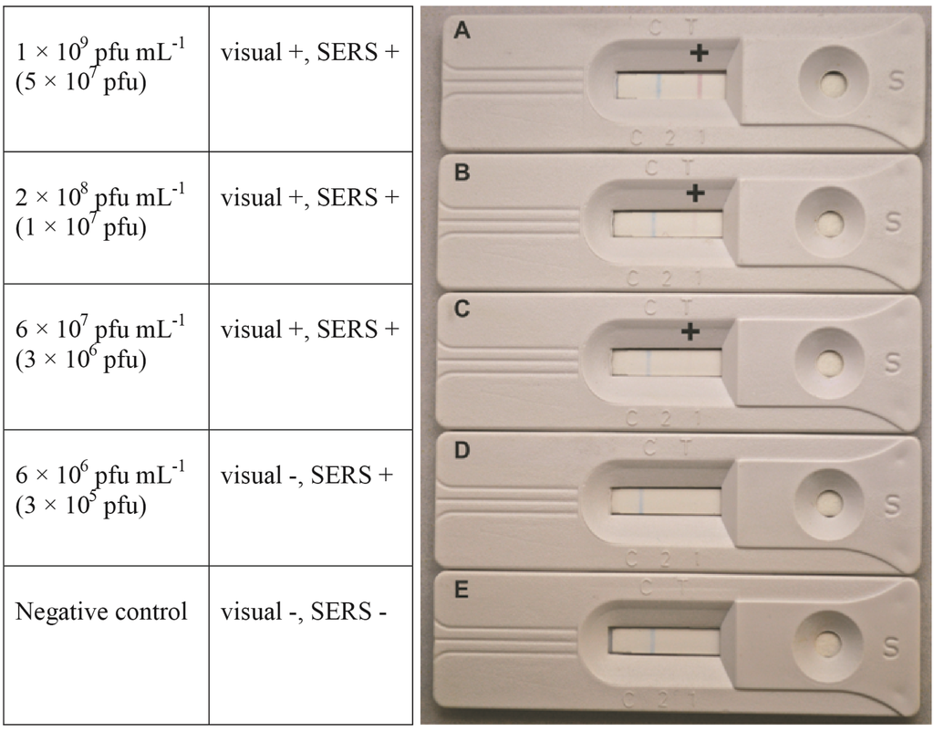 Viruses 07 02962 g001 1024
