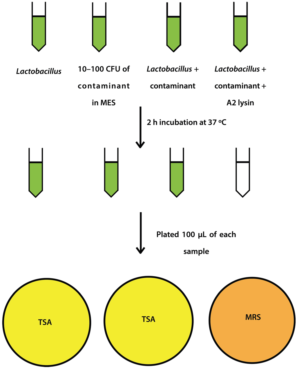 Viruses 07 02965 g001 1024