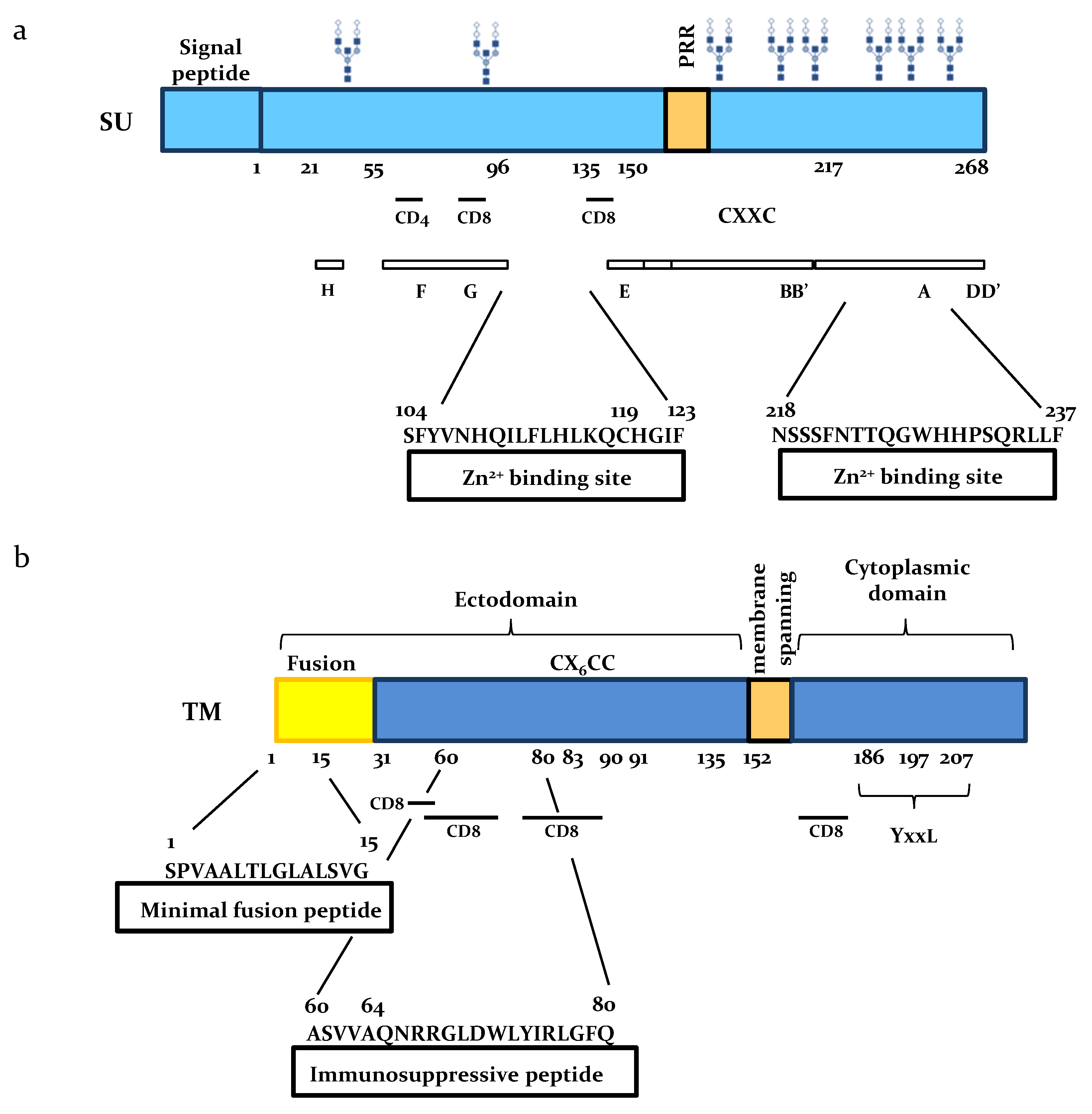 bovine leukemia virus