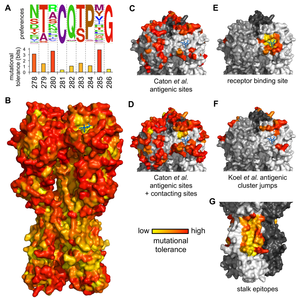 Viruses 08 00155 g005 1024