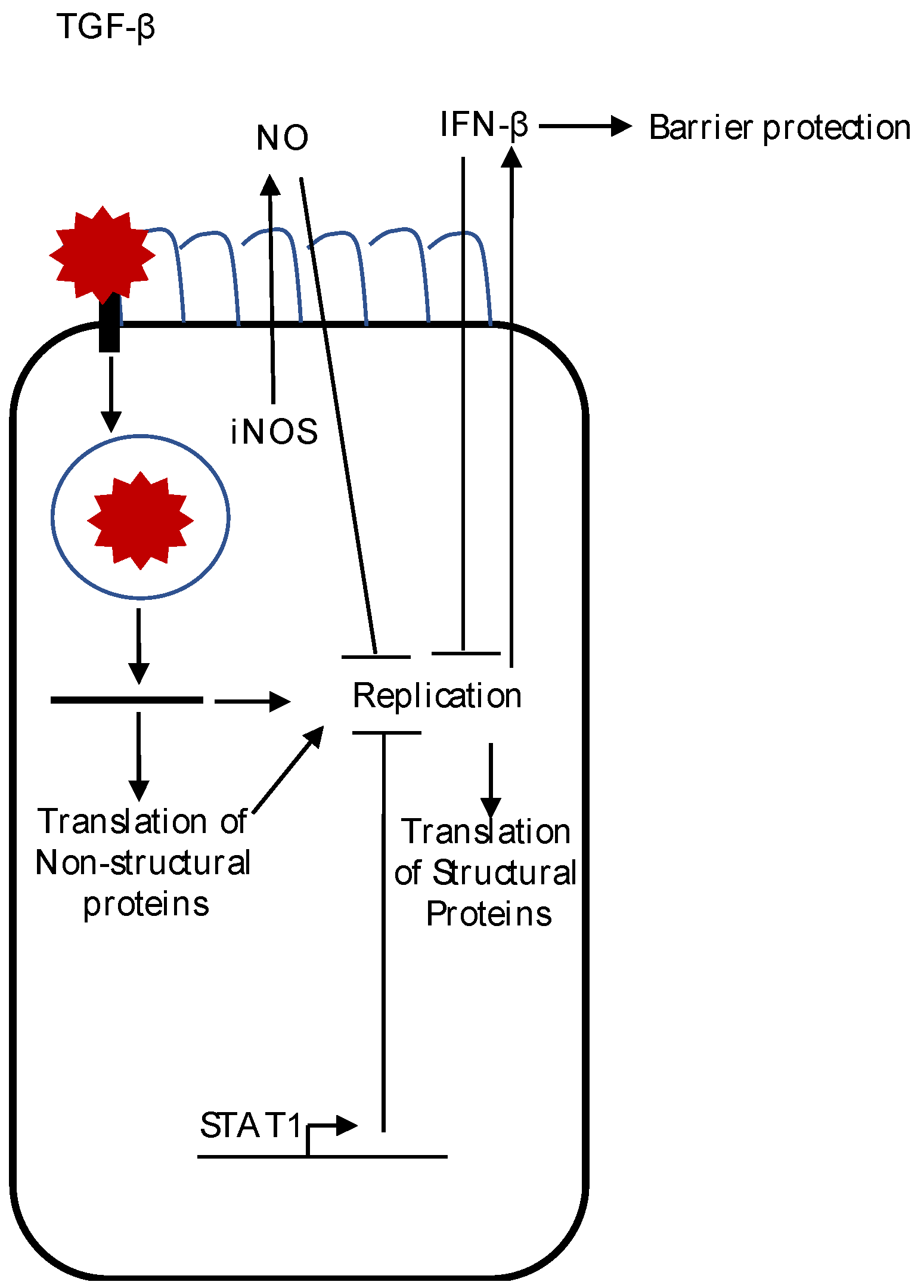 Viruses 09 00001 g001