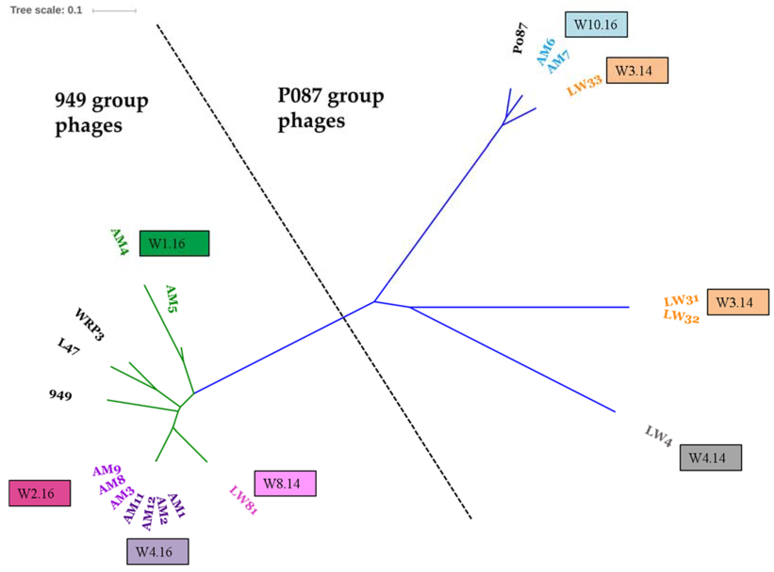 Viruses 09 00045 g001
