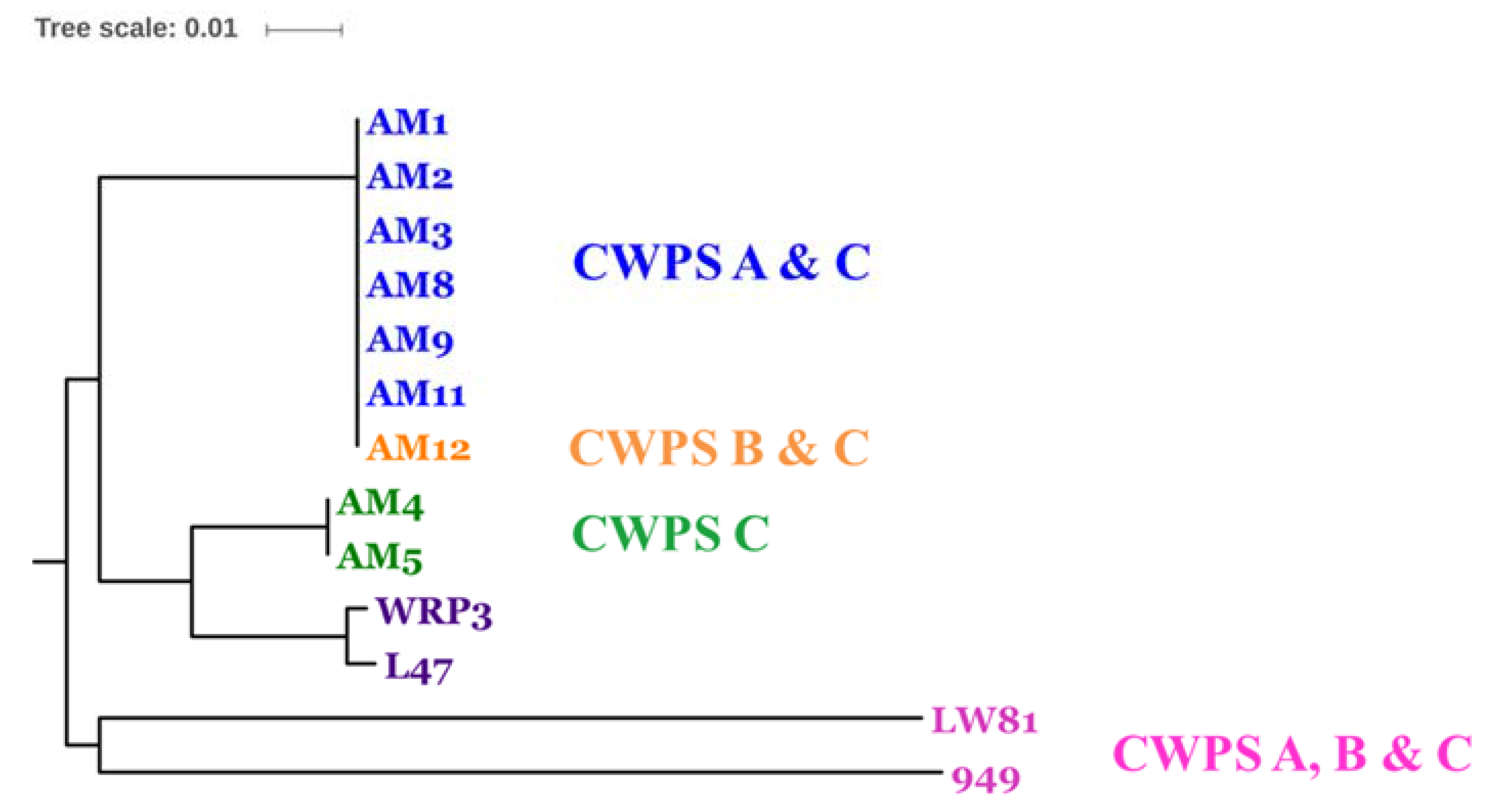 Viruses 09 00045 g003