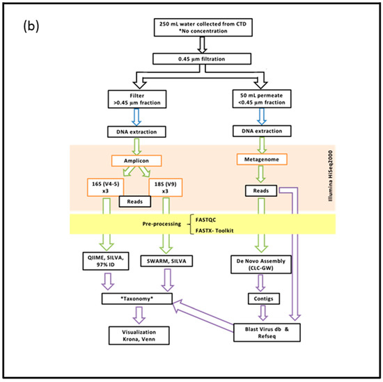 viruses special issue marine viruses 2016 prokaryotic eukaryotic venn diagram