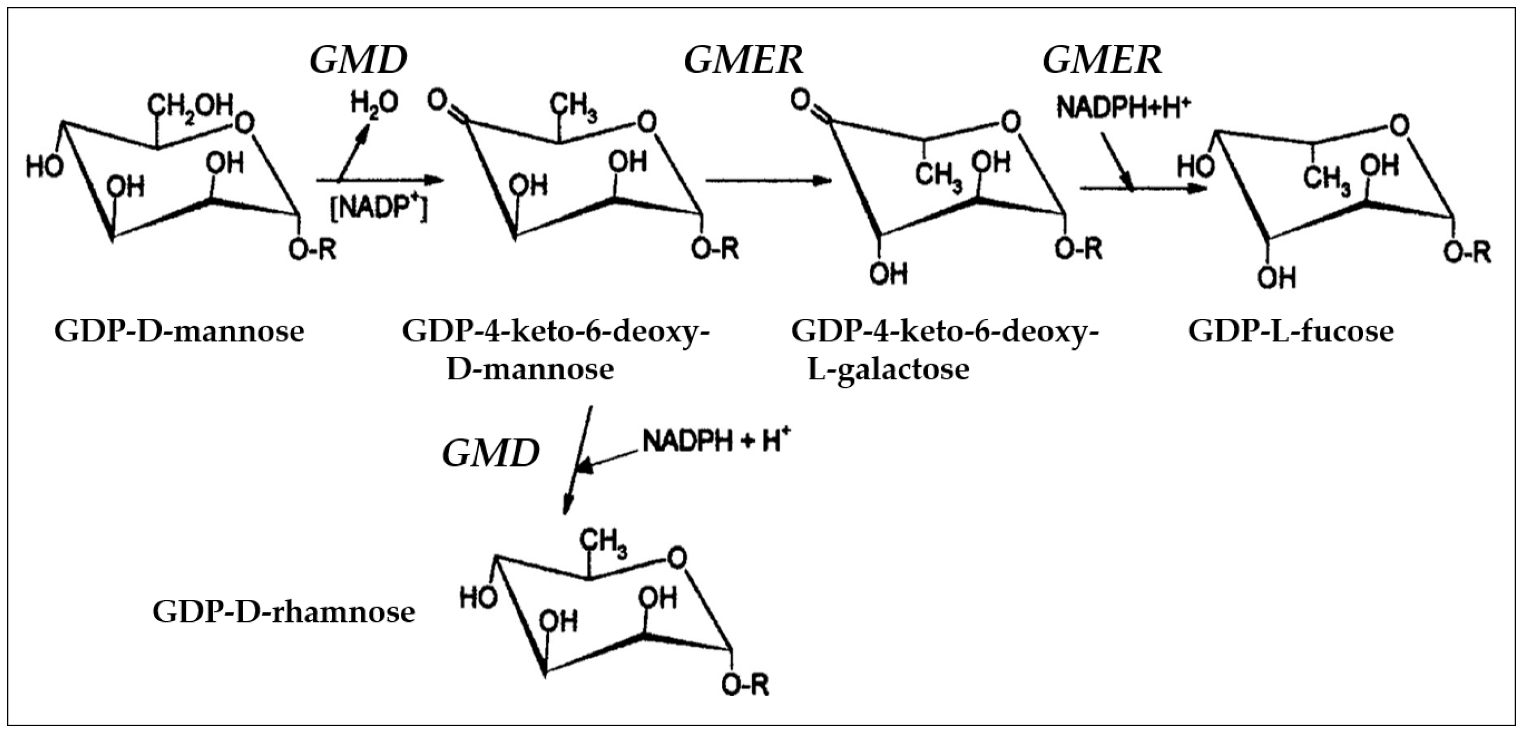 Viruses 09 00088 g002
