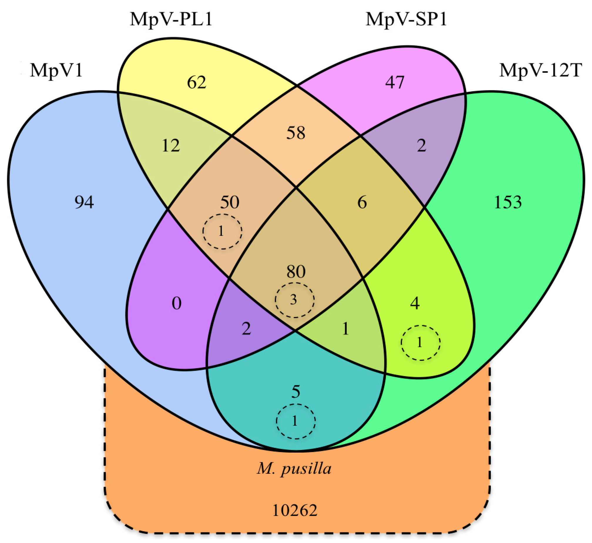 viruses free full text variation in the genetic repertoire of virus venn diagram