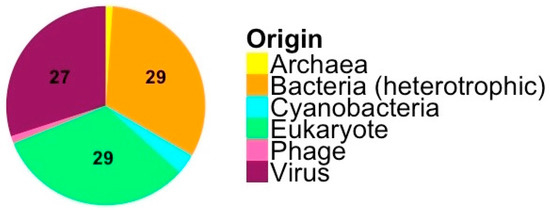 bacteria archaea venn diagram elim carpentersdaughter co bacteria vs virus venn diagram