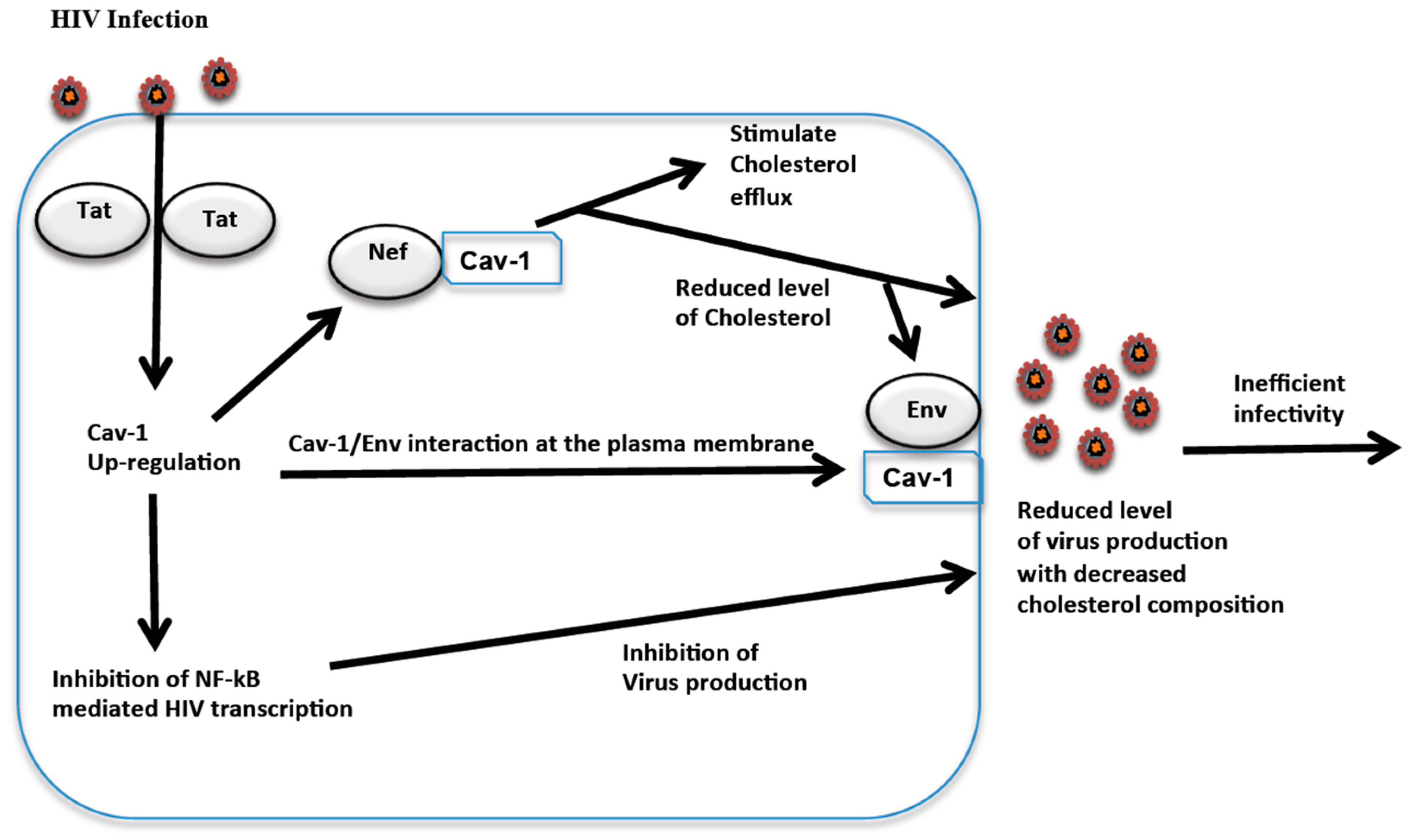 Viruses 09 00129 g001
